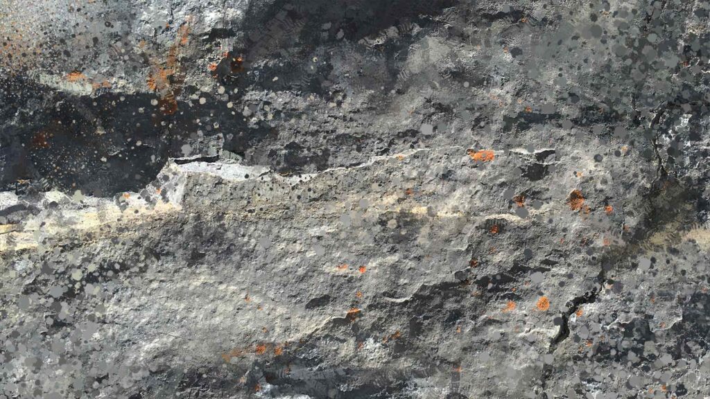 divinecustomhome.com